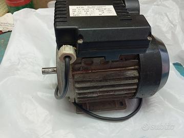motore elettrico 220v