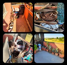 Piante grandi e piccole