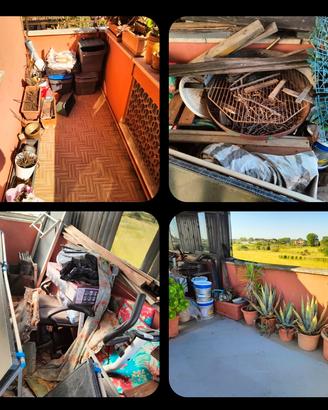 Piante grandi e piccole