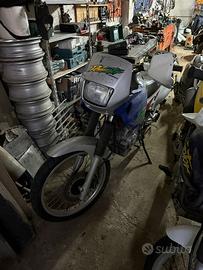 Honda dominator 650 da immatricolare