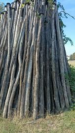 Pali di legno