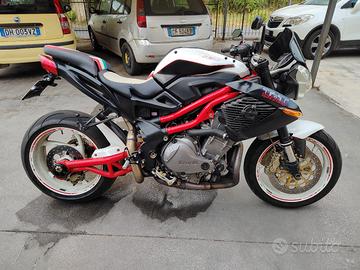 benelli tnt 1130 sport 
