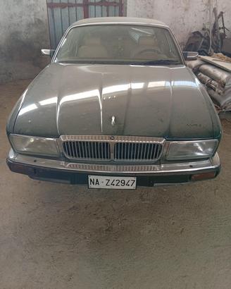 jaguare 