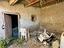Immagine 22