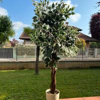 Pianta artificiale