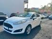 Ford Fiesta 1.5 TDCi 75CV 5 porte Titanium