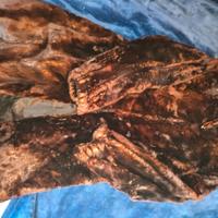 pelliccia di castoro 