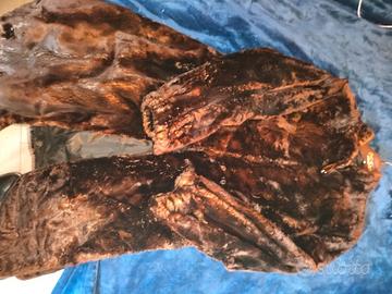 pelliccia di castoro 