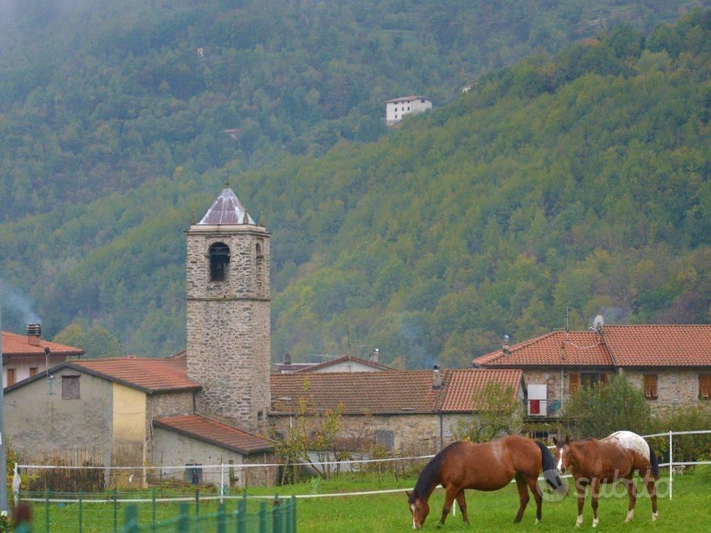 Villa di 700 m² con più di 5 locali e box auto a L - Altro