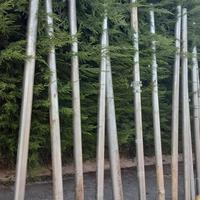 tubi di acciaio  per mille usi leggere descrizione