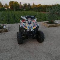Can-Am Renegade 500 4×4