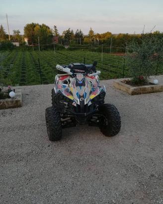 Can-Am Renegade 500 4×4