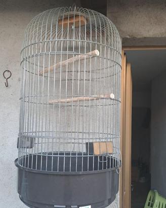 Gabbia per pappagalli