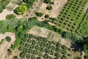 TER. AGRICOLO A FRANCAVILLA AL MARE