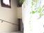 Immagine 29