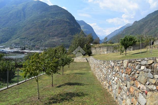 TER. AGRICOLO A TIRANO