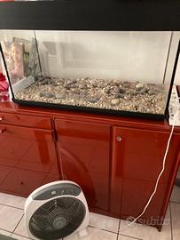 Acquario 