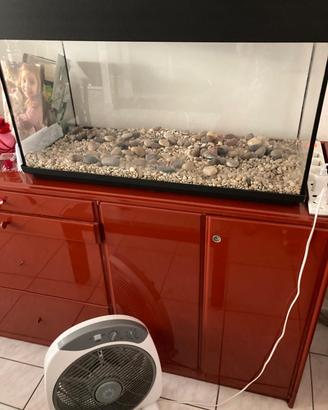 Acquario 