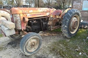 Massey Ferguson 65 con sollevatore 