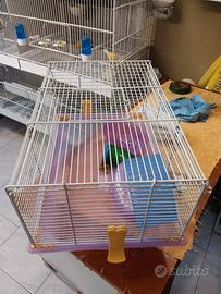 gabbia imac x criceto 