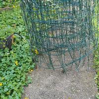 RETE IN FERRO RIVESTITA DA GIARDINO