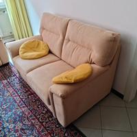 Due divani da 2 posti Dondisalotti