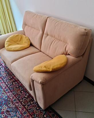 Due divani da 2 posti Dondisalotti