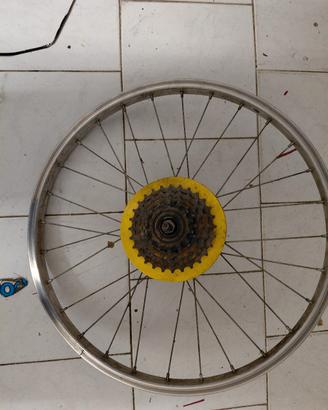 cerchio 20 con rapporti bicicletta 