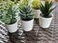 Immagine 3