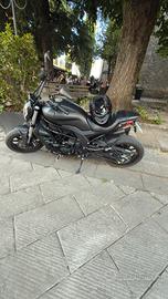 Benelli 502c 2021