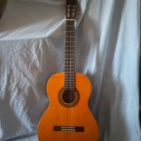 Chitarra Classica Eko