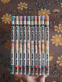 Dreamin' Sun 1-12 manga Flashbook