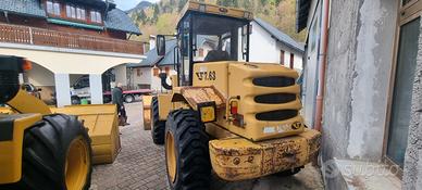 Pala gommata venieri