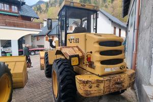 Pala gommata venieri