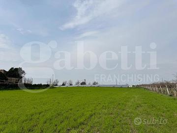 Terreno Agricolo Vitulazio [Cod. rif 3295214VCG]
