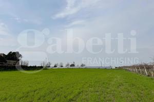 Terreno Agricolo Vitulazio [Cod. rif 3295214VCG]