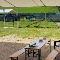 Allestimenti Recinti Box Centro Cinofilo