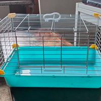 Gabbia per criceti