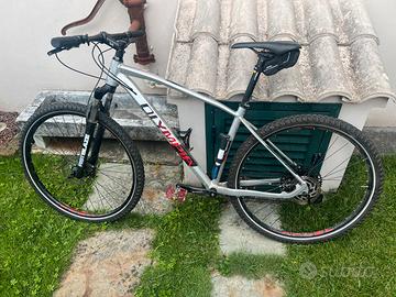 MTB Olympia Drake 29