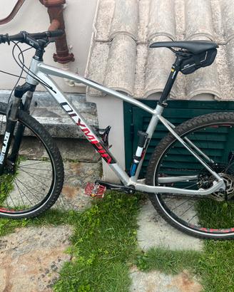 MTB Olympia Drake 29
