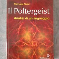 Pier Luigi aiazzi ' il poltergeist "