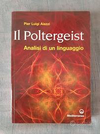 Pier Luigi aiazzi ' il poltergeist "