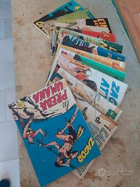  collezione di Zagor