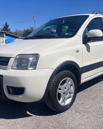 Fiat Panda 1.2 Climbing Natural Power