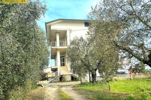 Appartamento - Sant'Omero