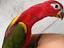 Immagine 2