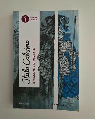 Libro: Il visconte dimezzato 