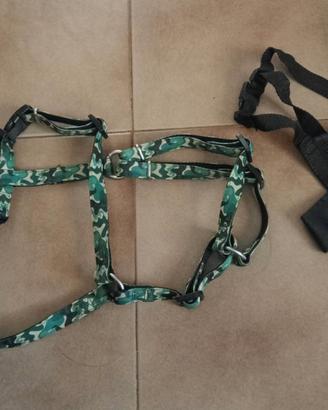 SET ACCESSORI PELOSETTI 