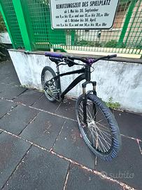 Wheelie bike Dartmor