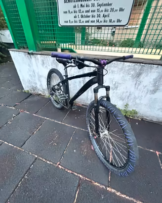 Wheelie bike Dartmor